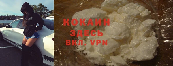 молекула духа Новокубанск