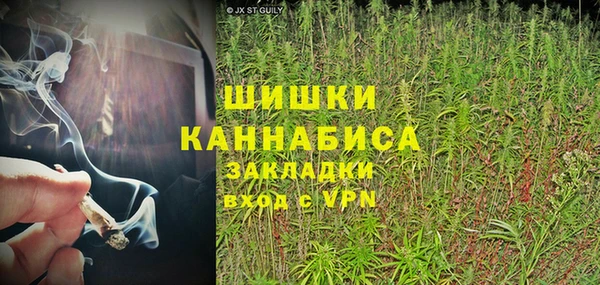 молекула духа Новокубанск