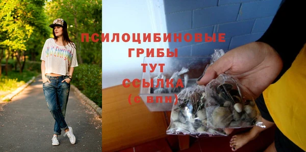 молекула духа Новокубанск