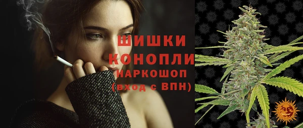 молекула духа Новокубанск