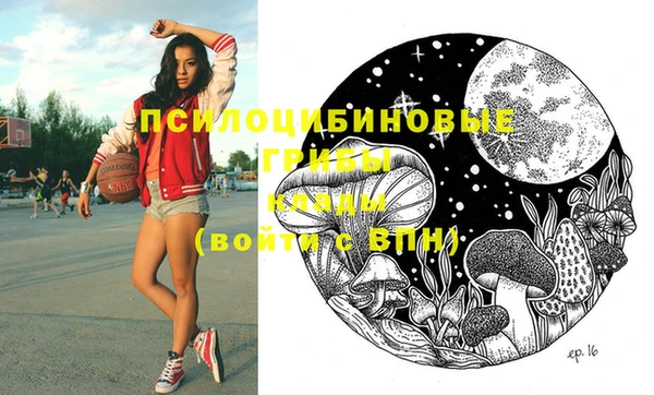 молекула духа Новокубанск