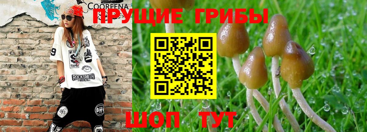Галлюциногенные грибы Psilocybe  как найти закладки  Галлюциногенные грибы ЛСД  Кириши  Вход с VPN 